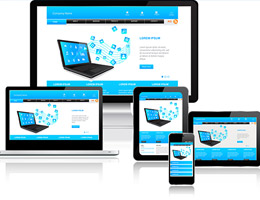 Website Design & Development